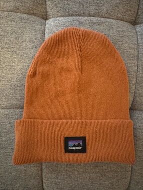 Patagonia Women’s Beanie